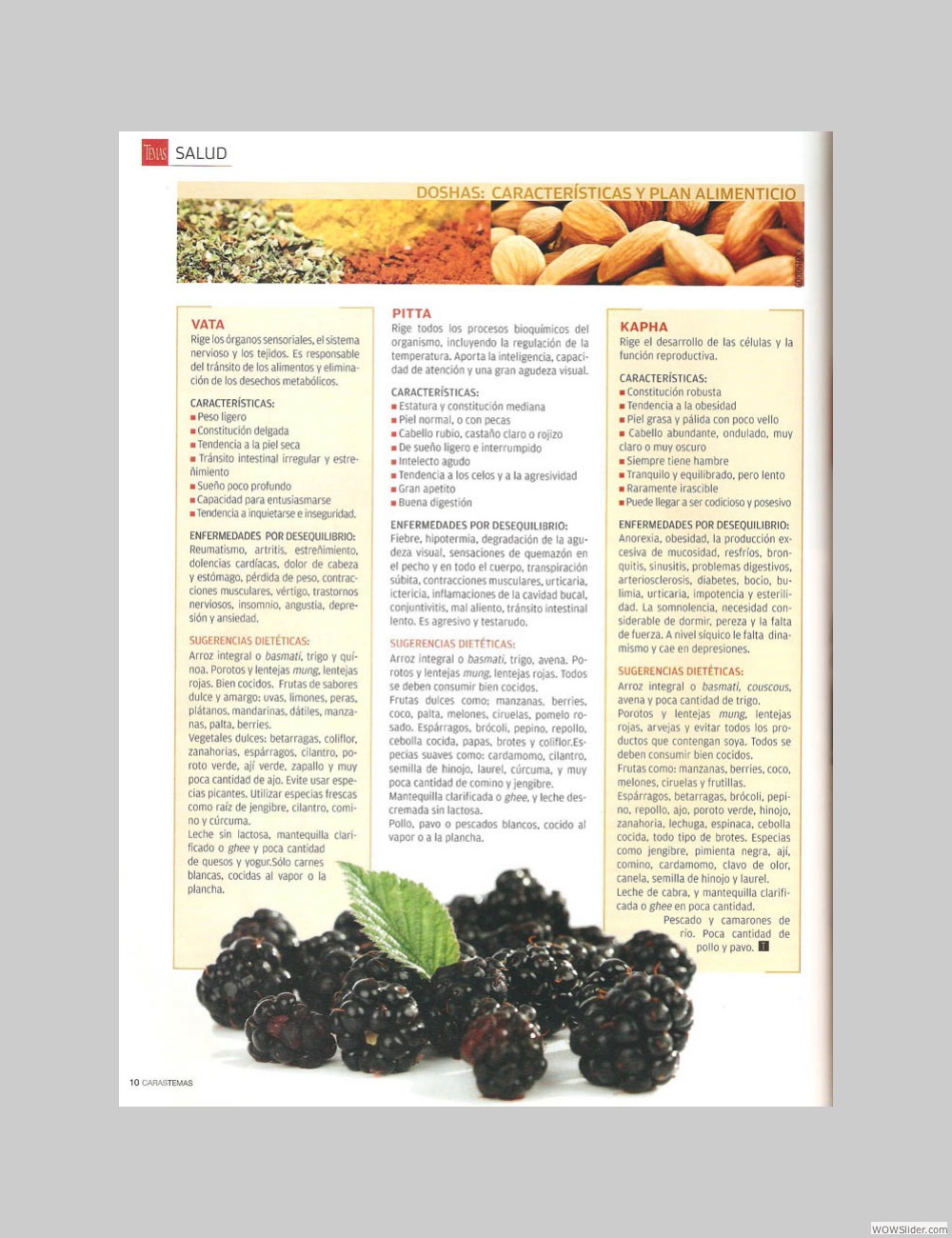 Revista Caras Temas